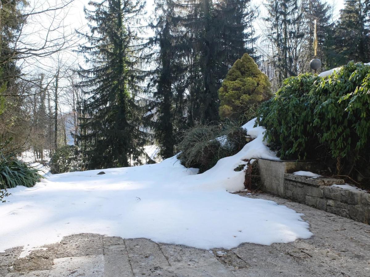 Villa Sawallisch กราสเซา ภายนอก รูปภาพ