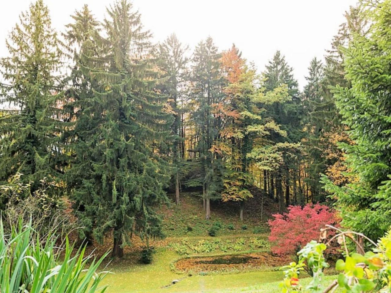 Villa Sawallisch กราสเซา ภายนอก รูปภาพ